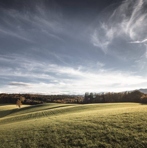 HOCHSTRASS_H6B3928_landschaft_keyvisual